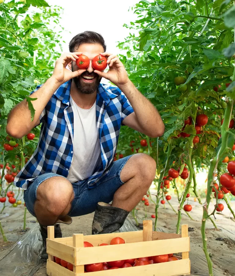 We grow fresh, organic produce using clean methods that protect nature, healthy food.