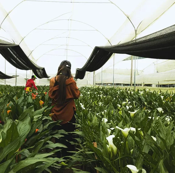 There are many variations of passages of Lorem Ipsum available, but majority have suffered teration in some form, by injected humour, or randomised words which don't look even slight believable. If you are going to use a passage of Lorem Ipsum.