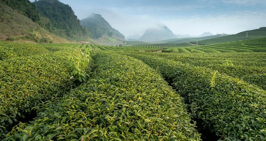 There are many variations of passages of Lorem Ipsum available, but majority have suffered teration in some form, by injected humour, or randomised words which don't look even slight believable. If you are going to use a passage of Lorem Ipsum.