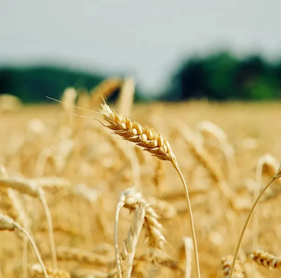 There are many variations of passages of Lorem Ipsum available, but majority have suffered teration in some form, by injected humour, or randomised words which don't look even slight believable. If you are going to use a passage of Lorem Ipsum.